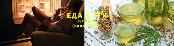 индика Переславль-Залесский