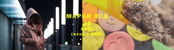 шишки Пестово