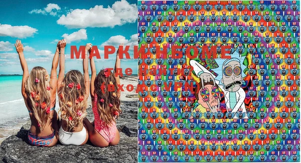 шишки Пестово